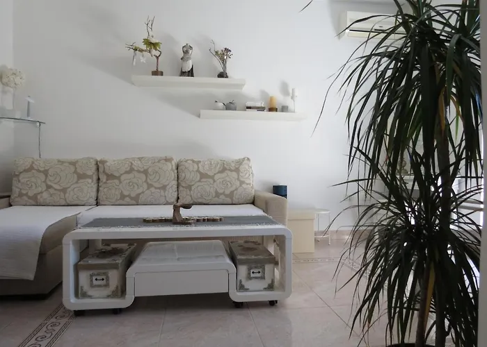 Eco Friendly Apartment
