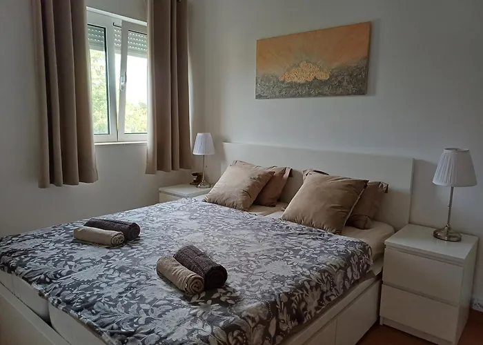 Eco Friendly Apartment