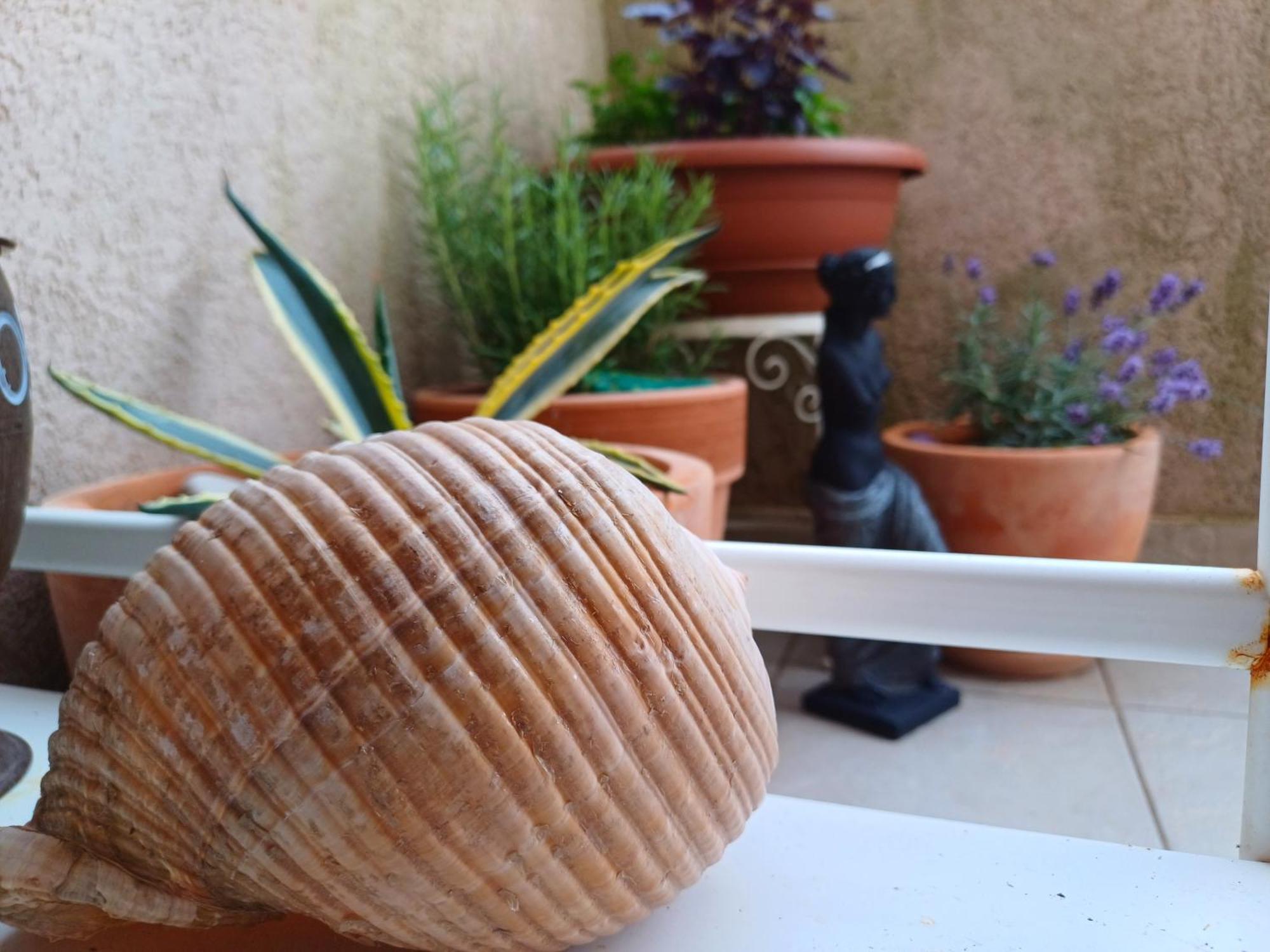 Appartement Eco Friendly